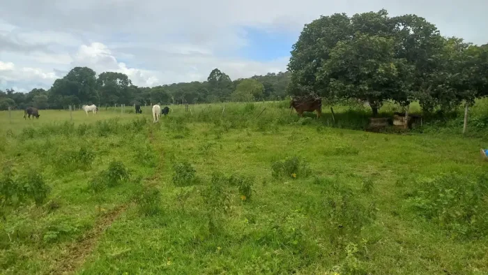 Chácara para Venda em Brasília, Setor de Hotéis e Diversões (Planaltina), 3 dormitórios, 1