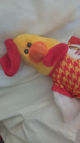 Frango pelúcia frango assado usado