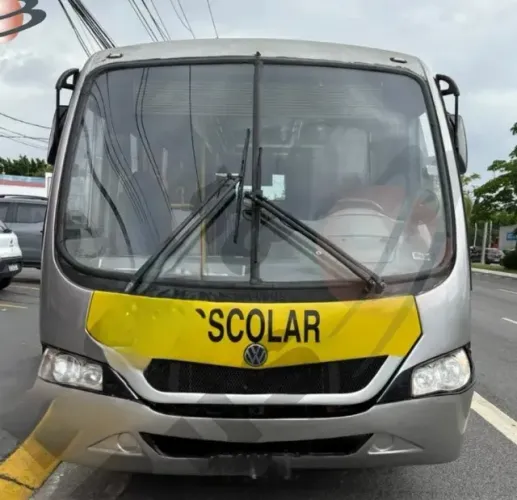 Volare Escolar V8 2018.
