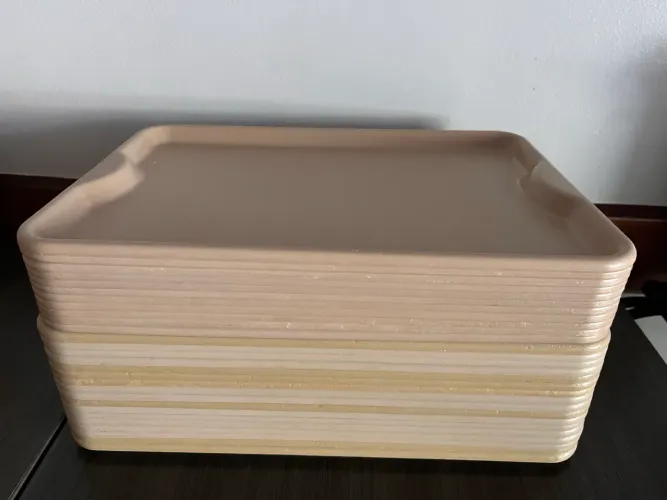 Bandeja para restaurante