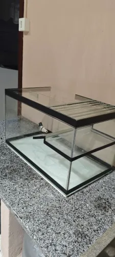 Vendo terrário
