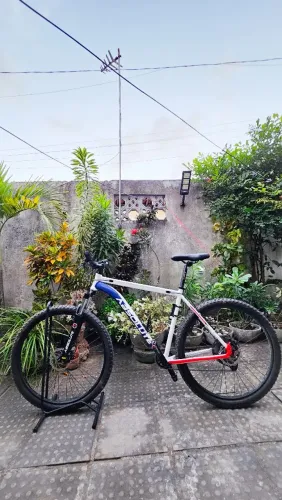 Bicicleta absolute 29