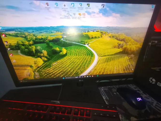 PC gamer