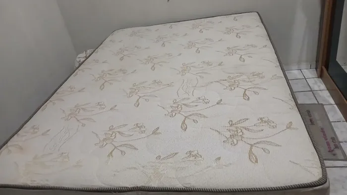 Cama