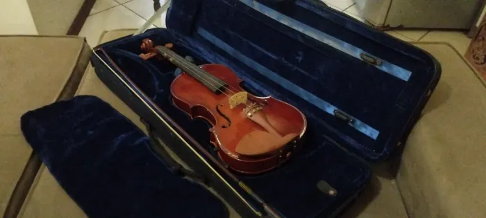 Violino Eagle 4/4 441