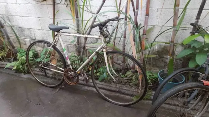 Lote de bicicletas