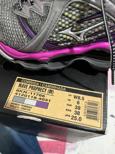 Mizuno wave prophecy 1 38 original