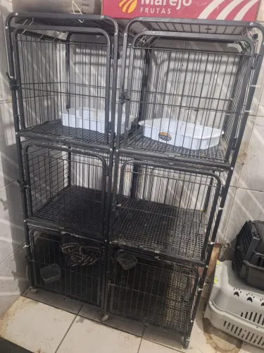 GRADEADO DUPLO PARA PETS