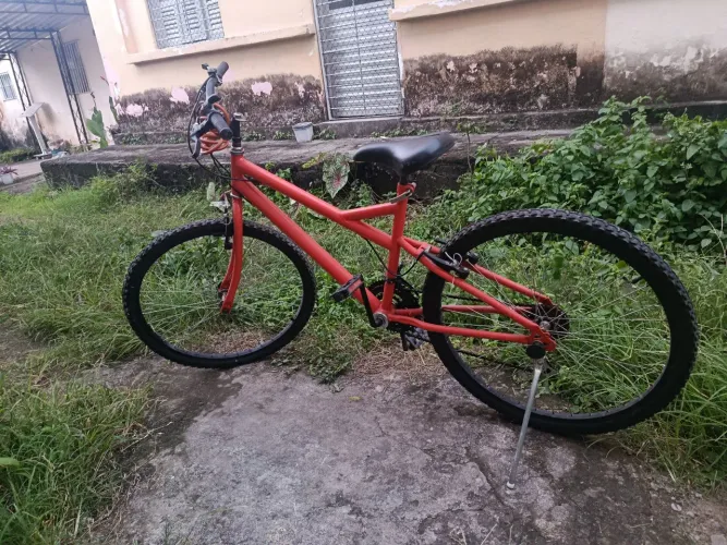 Bicicleta