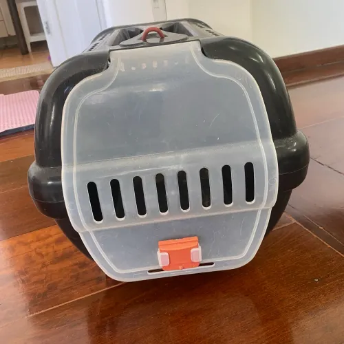 Kit porquinho da índia 