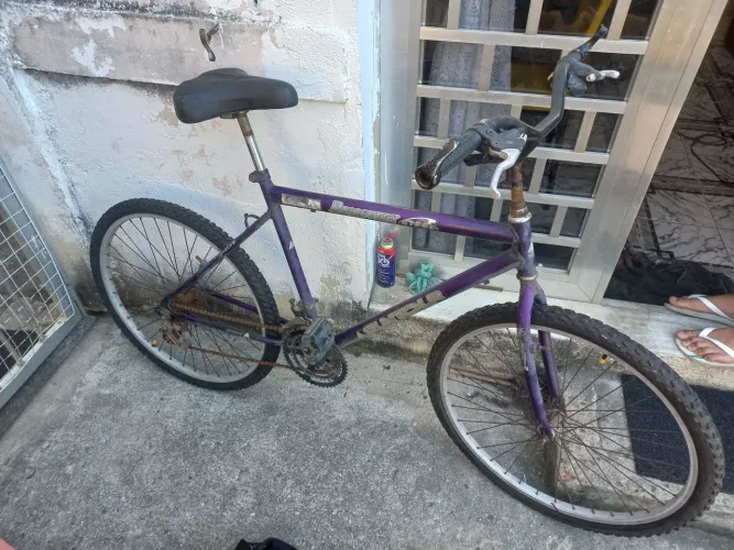 Bicicleta