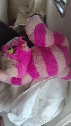 Gato da Alice no país das maravilhas de pelúcia