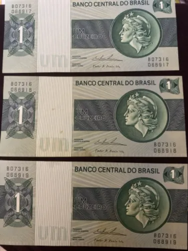 Notas 1 cruzado ( uma flor de estampa 2 soberbas)