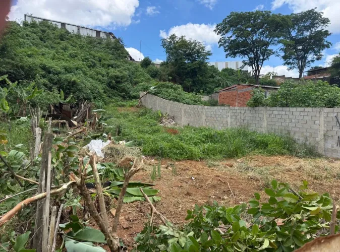 Lote 360 M