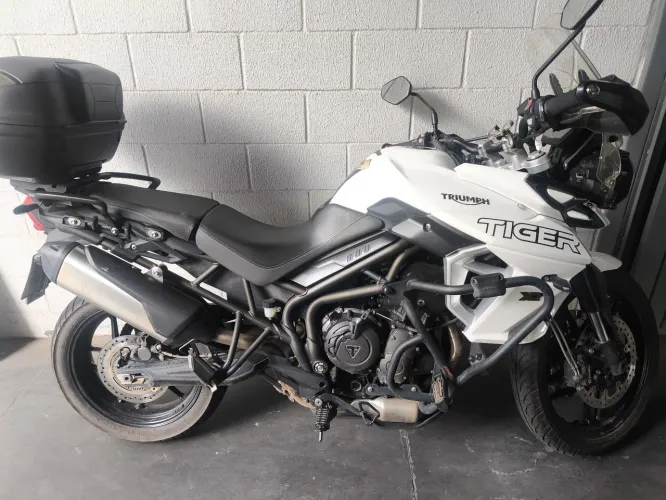 Tiger 2019