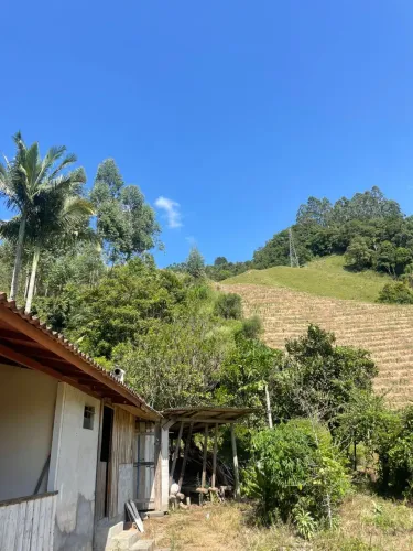 LINDO SÍTIO A VENDA - ANGELINA