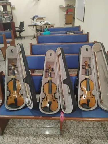 Violinos seminovos