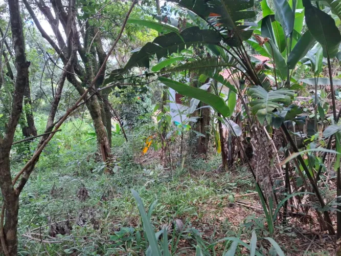 Lote em Macacos