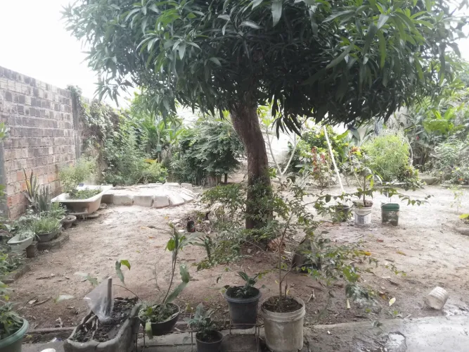 Terreno bem localizado na zona sur de PVH