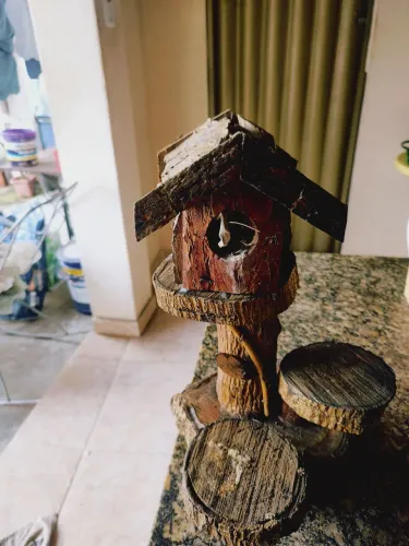 casinha pássaros