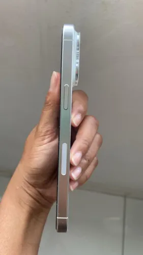 iPhone 15 Pro Max Silver