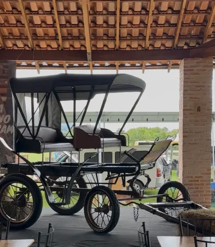 TROLE 04 RODAS