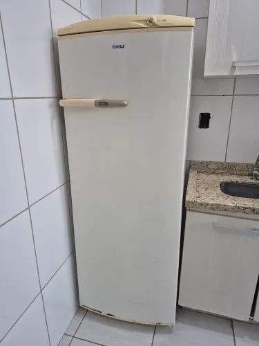 Geladeira Consul 1 Porta 360L 220V