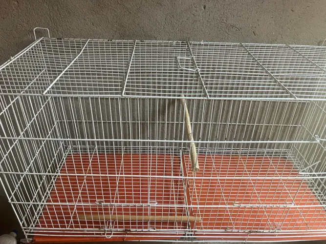 Gaiola para Psitacídeos