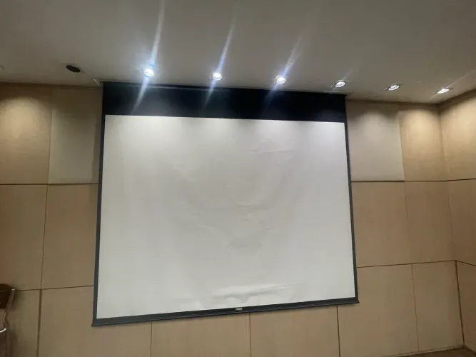 Tela de Projeção 150 Polegadas Nardelli - Excelente Estado