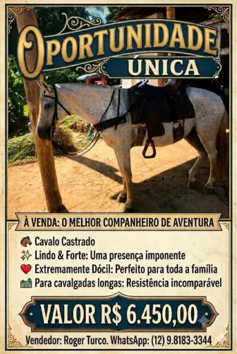 Lindo Cavalo castrado, ?, qq um monta. PARCELO no CARTÃO