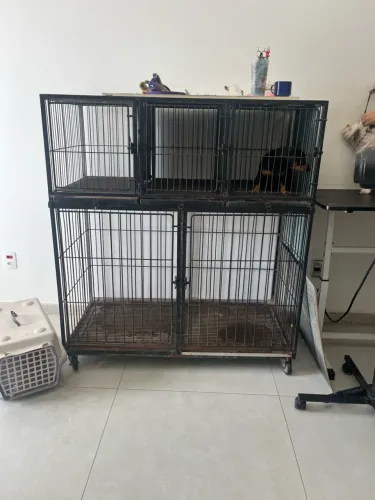 Canil, gaiola de espera para pet