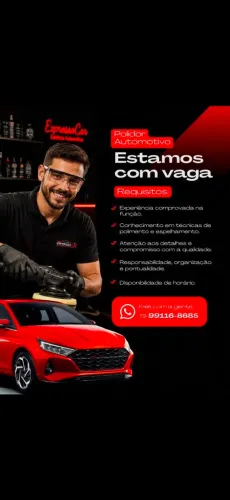 POLIDOR AUTOMOTIVO