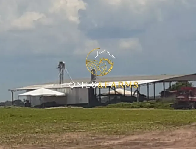 Fazenda à Venda Cocalinho MT | 6.580 ha | Agricultura e Pecuária | Homes & Farms