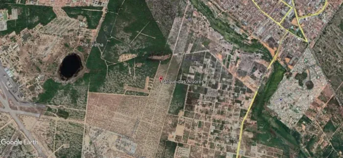 Terreno à venda, 1000 m² por R$ 110.000,00 - Parque Das Árvores - Parnamirim/RN