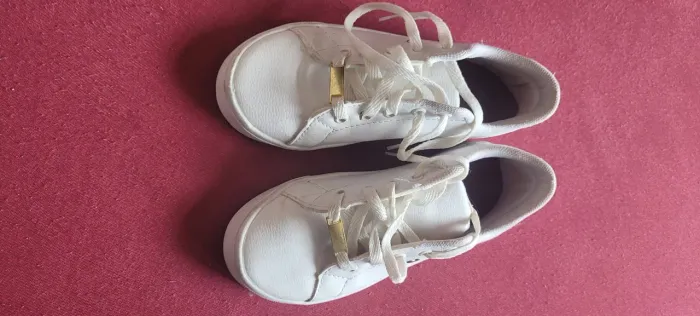 Tenis