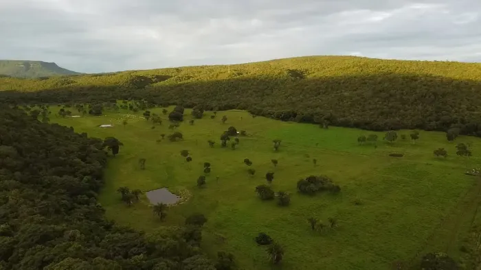 FAZENDA PARA PECUÁRIA À 35KM DE CÁCERES-MT codigo: 88255