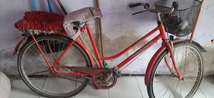 Bike Monark