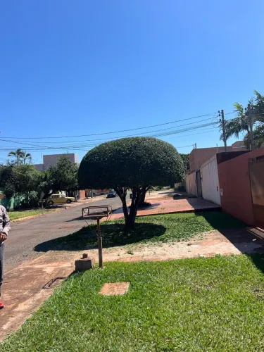 Podas Ornamentais, radicais e remoção