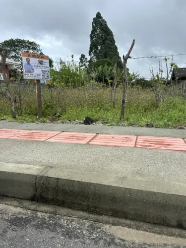 Lote para Venda em Paulo Lopes, Areias