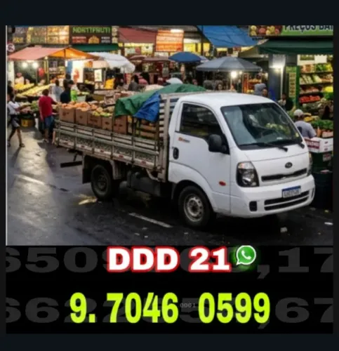 Frete Profissional Para Diversos Tipos de Transporte