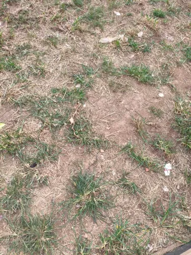 Terreno no bairro São Mateus várzea grande