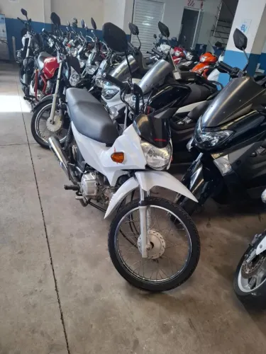 Honda Pop 110cc 2023