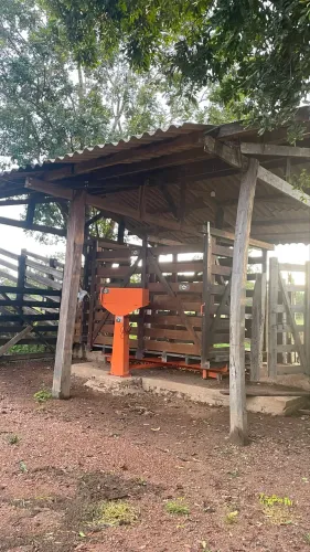 Vendo Balança para Pesagem de Animais de Grande Porte 