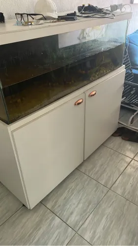 Aquário