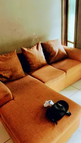 Vendo sofa retrátil