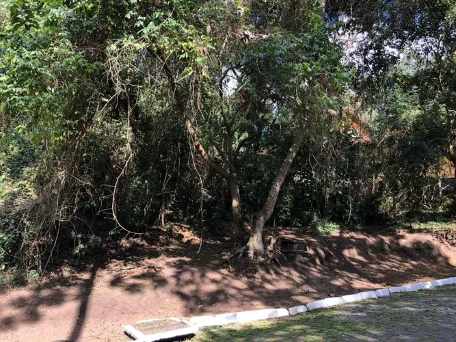 Terreno com boa topografia em condomínio fechado no Cônego