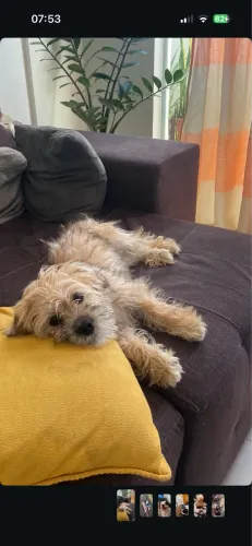 Doação 