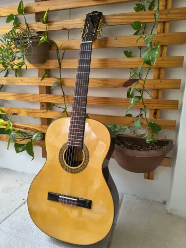 Violão Di Giorgio Author 3