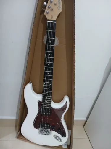 Guitarra Gianini g102