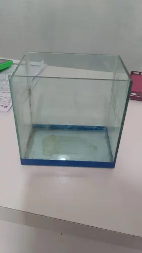 Beteira
